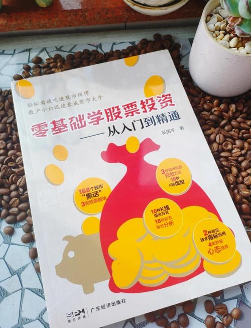 新手股市入门指南：掌握基础知识与投资要点开启财富之路