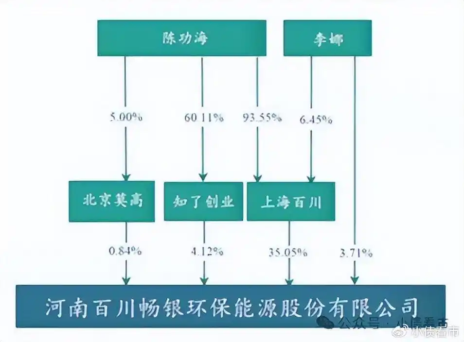 百川资本_沼气发电业务风险加大_百川畅银2024业绩亏损