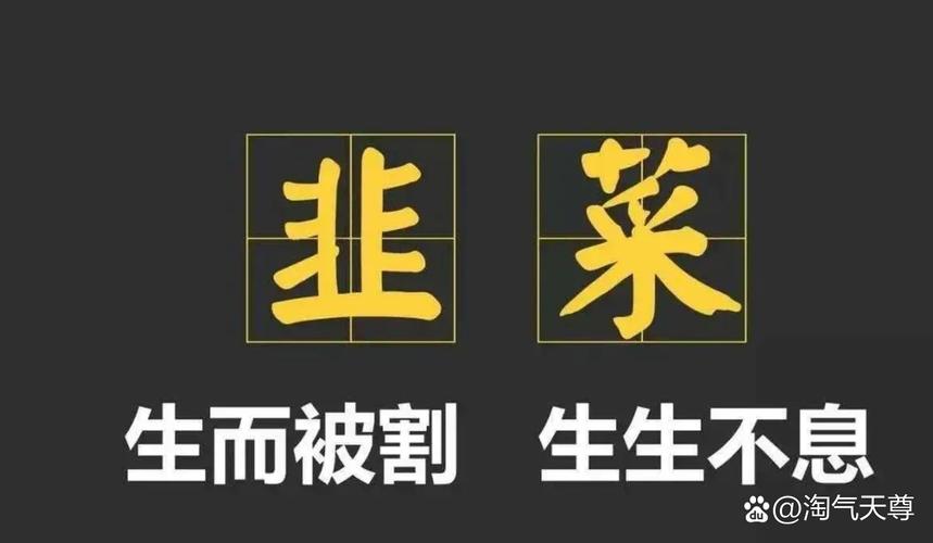 股市配资风险_股票投资陷阱_股票杠杆意思