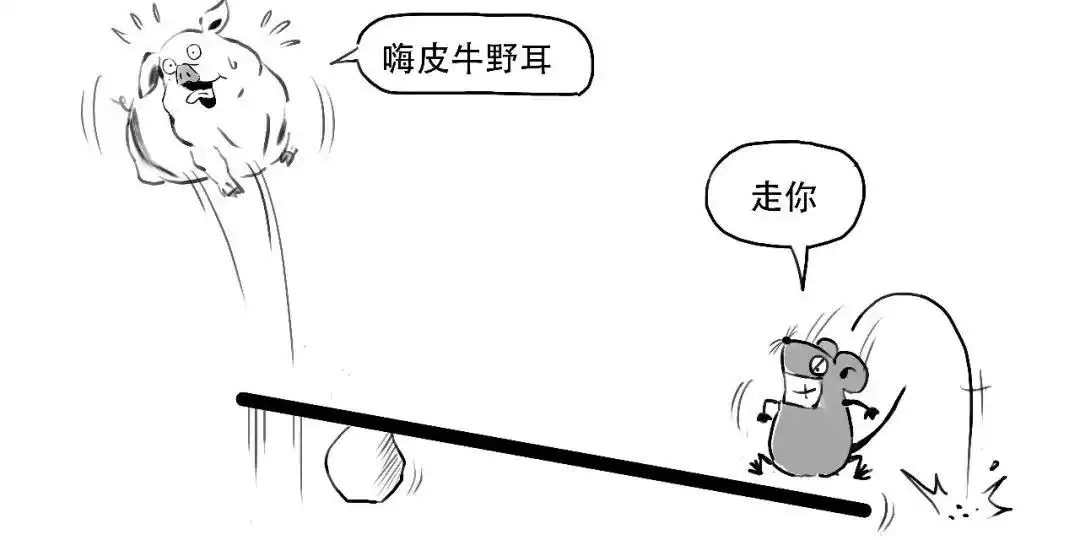 融资融券是什么意思_融资交易操作_融资融券交易