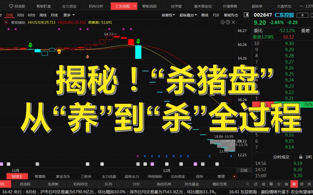 股市闪崩现象揭露_专业股票配资价格_央视财经报道杀猪盘