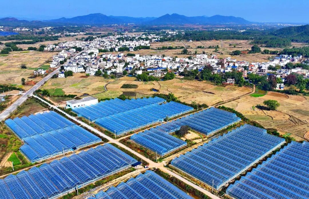 股票理财_投资于人_高质量发展