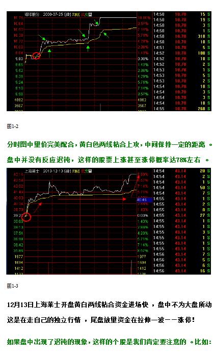 A股小散血泪史_专业股票配资知识论坛_股票投资与投机区别