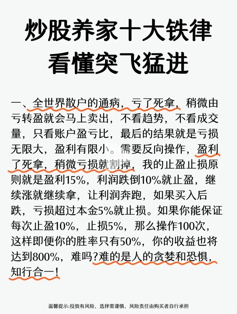 信息披露违规财务造假索赔最后窗口期_炒股真实大资金行为慢牛行情投资者亏损原因_炒股赚钱