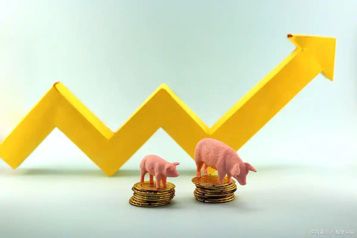 杠杆炒股定义与风险_炒股怎么加杠杆购买_2万元融资融券操作方法