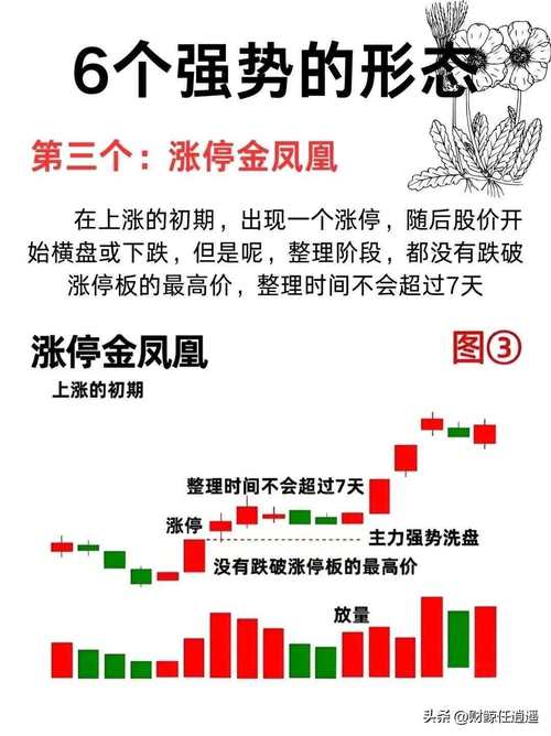 2026年线上股票配资行业：关注规则惯性与制度形态变化