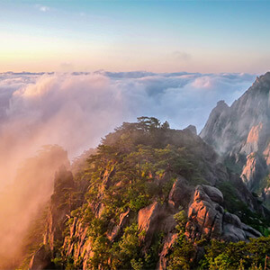 投资理财被骗追回损失方法_股票理财_网络投资理财被骗怎么报案