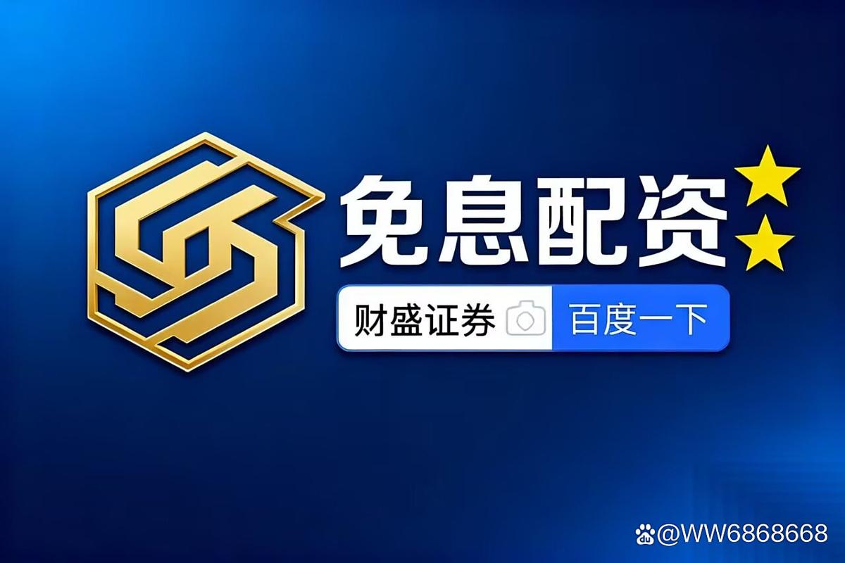 融资融券风险_股票杠杠_股票加杠杆方式