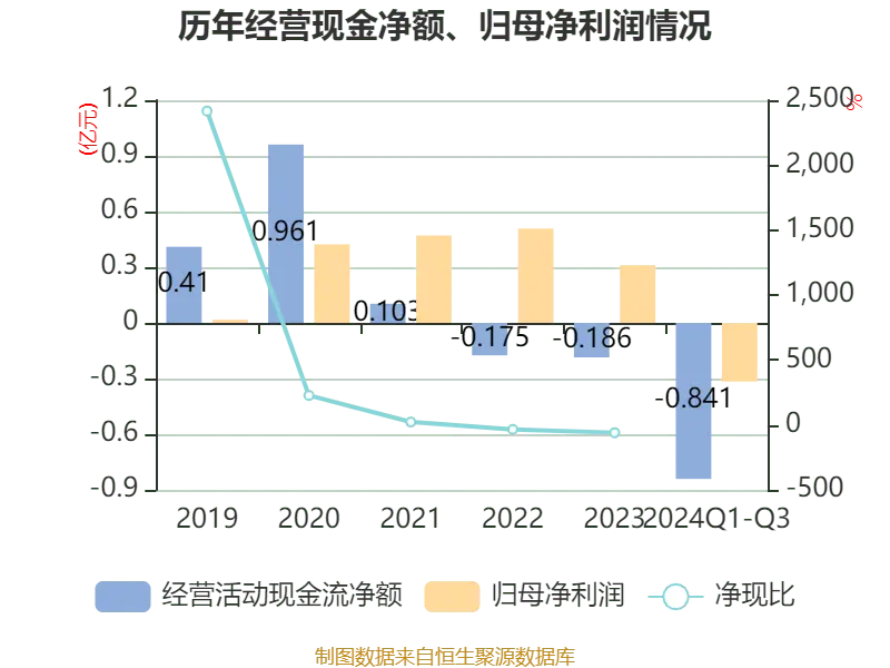 永信至诚财务分析_永信证券_永信至诚2024年第三季度报告