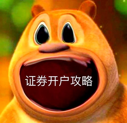 股票开户流程_如何选择证券公司_炒股怎么开户